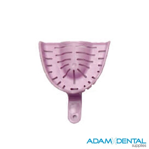 Dentate Upper Large
