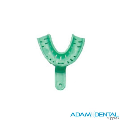 Dentate Lower Small
