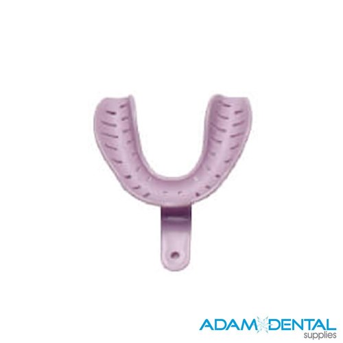 Edentulous Lower Large