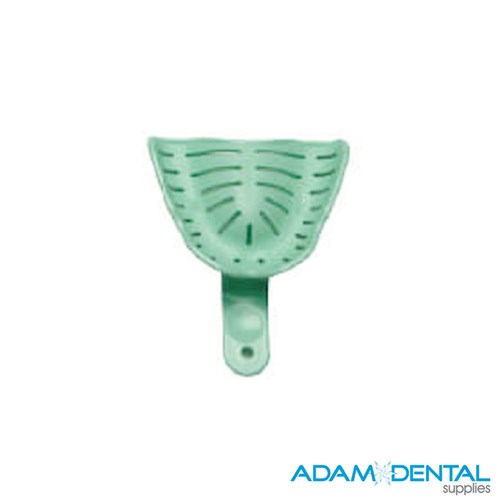 Edentulous Upper Small