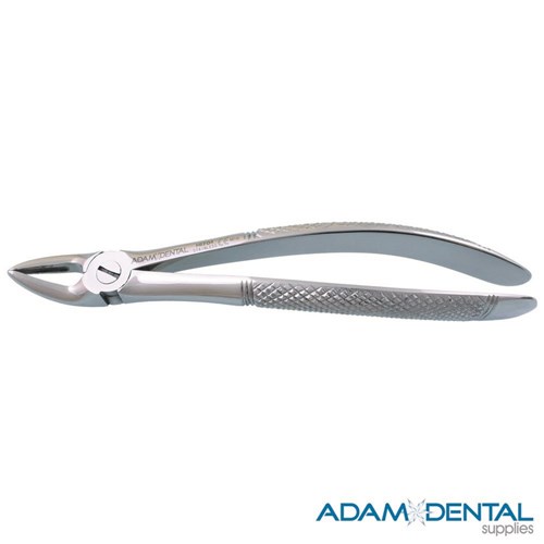 Upper Anterior Roots Curved