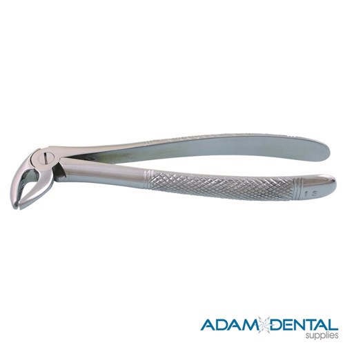 Lower Canines & Bicuspids