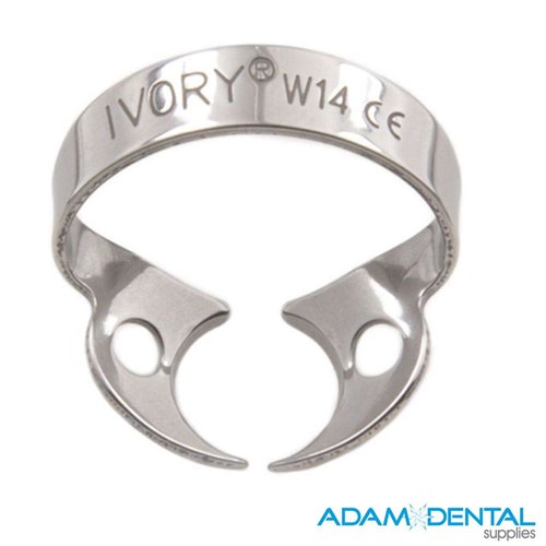 Premolar Wingless W0 Elongated Small Neck