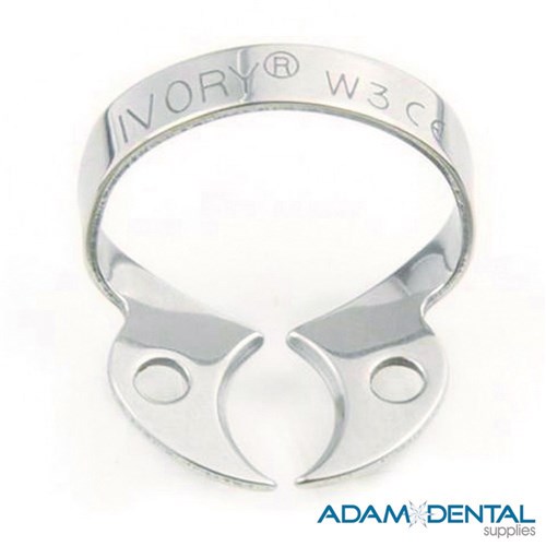 Molar Wingless W3 Small Lowers