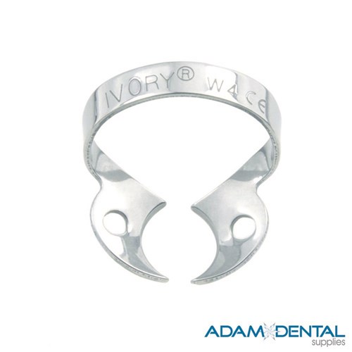 Molar Wingless W4 Small Upper