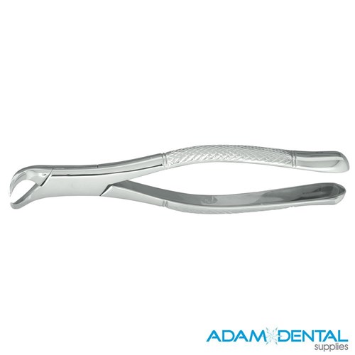 Lower Molar Cowhorn #23 (Straight Handle)