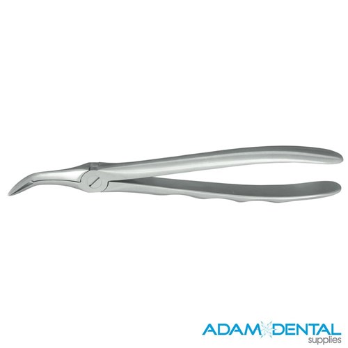 Lower Root Fragments #46L (Handform Handle)