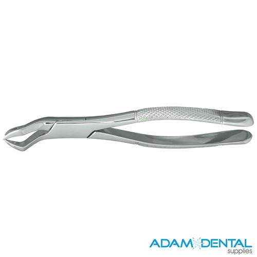 1st and 2nd Upper Molar Left Anatomical #88L