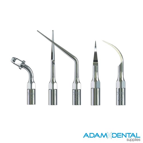 Woodpecker Scaler Tips EMS Connection