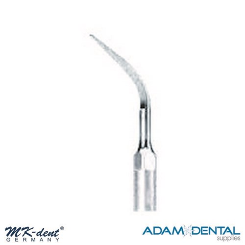 EMS P & Satelec 1S Stainless Steel EMS