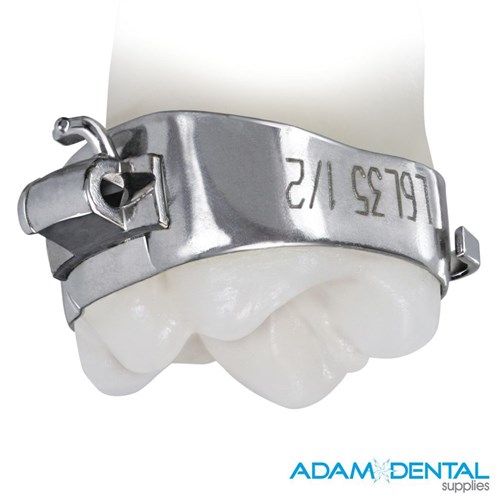 TruFit 2.0 ASM 022 SE LL6  NC SBT 0T 0Off 40.5 Size 3/pk