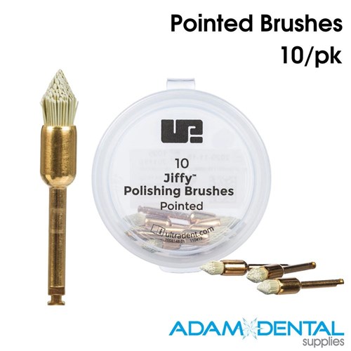 Polisher Brush Pointed 10/pk