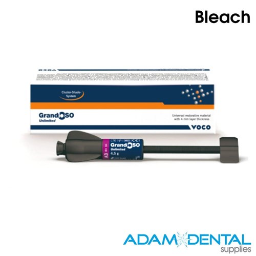 Bleach 4.5g Syringe